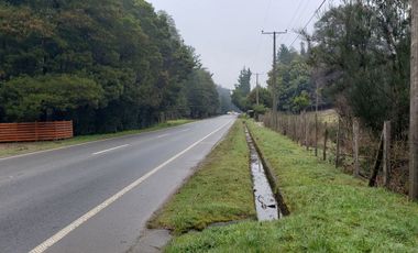 Ultimas Parcela Ecológicas Los Coigües, Valdivia Precio desde UF 1.550