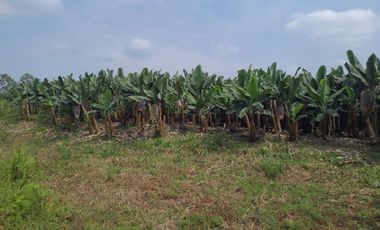 Hacienda de Venta en Milagro