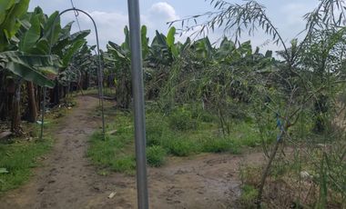 Hacienda de Venta en Milagro