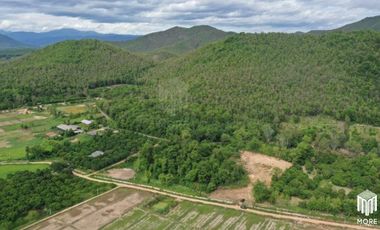 Property id179ls Land for sale in Lumphun 2-0-4 Rai near Huay Sai Public Health Center