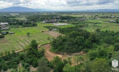 Property id179ls Land for sale in Lumphun 2-0-4 Rai near Huay Sai Public Health Center