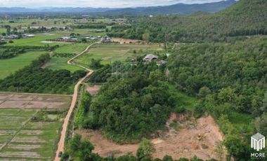 Property id179ls Land for sale in Lumphun 2-0-4 Rai near Huay Sai Public Health Center