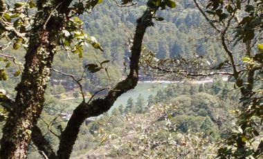 BELLO TERRENO EN LA ESTANZUELA, $200 el m2 CERCA DE LA PRESA EL CEDRAL