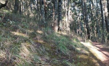 BELLO TERRENO EN LA ESTANZUELA, $200 el m2 CERCA DE LA PRESA EL CEDRAL