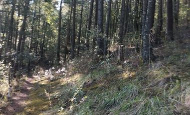 BELLO TERRENO EN LA ESTANZUELA, $200 el m2 CERCA DE LA PRESA EL CEDRAL