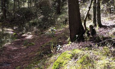 BELLO TERRENO EN LA ESTANZUELA, $200 el m2 CERCA DE LA PRESA EL CEDRAL