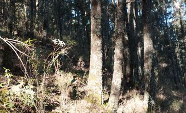 BELLO TERRENO EN LA ESTANZUELA, $200 el m2 CERCA DE LA PRESA EL CEDRAL