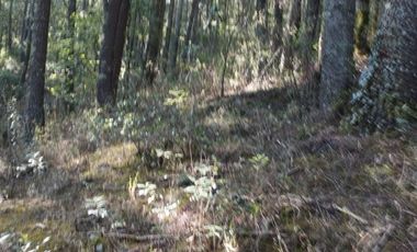 BELLO TERRENO EN LA ESTANZUELA, $200 el m2 CERCA DE LA PRESA EL CEDRAL