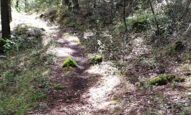 BELLO TERRENO EN LA ESTANZUELA, $200 el m2 CERCA DE LA PRESA EL CEDRAL
