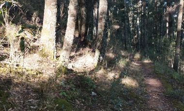 BELLO TERRENO EN LA ESTANZUELA, $200 el m2 CERCA DE LA PRESA EL CEDRAL