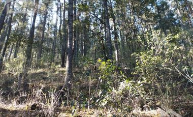 BELLO TERRENO EN LA ESTANZUELA, $200 el m2 CERCA DE LA PRESA EL CEDRAL