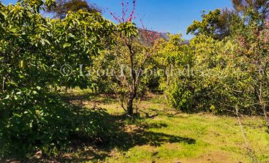 Se vende Parcela con casa en sector Miraflores, Curacavi.