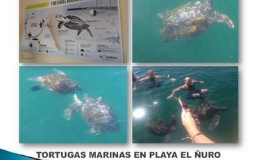 Terrenos en Vichayito, Los Órganos, Piura con vista al mar de 250 y 300 m2