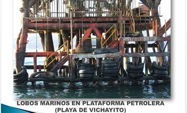 Terrenos en Vichayito, Los Órganos, Piura con vista al mar de 250 y 300 m2
