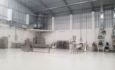 Macrópolis-Lurín,VENTA DE LOCAL INDUSTRIAL