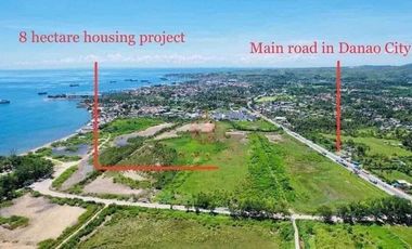 Affordable 2 storey  house and lot in Danao along the highway