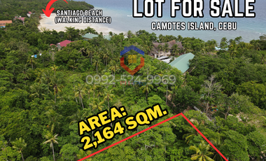 Lot For Sale in Camotes Island - near Santiago White Sand Beach