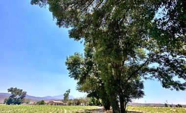 Rancho Productivo en venta en El Arenal, Jalisco