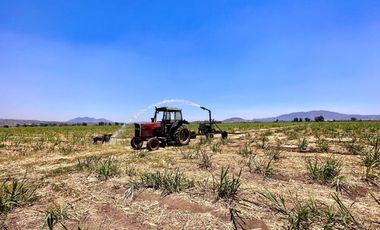 Rancho Productivo en venta en El Arenal, Jalisco