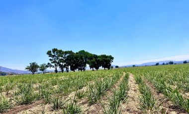 Rancho Productivo en venta en El Arenal, Jalisco