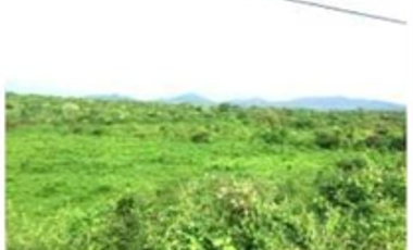Venta de terreno de 897 Hectáreas