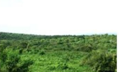 Venta de terreno de 897 Hectáreas