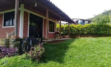 FINCA DE RECREO Y CAMPING ABAJITO DE PORCE- SANTO DOMINGO.