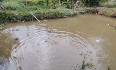 FINCA DE RECREO Y CAMPING ABAJITO DE PORCE- SANTO DOMINGO.