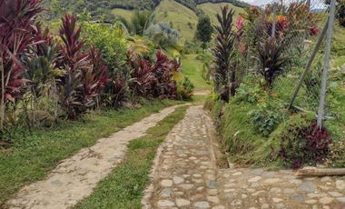 FINCA DE RECREO Y CAMPING ABAJITO DE PORCE- SANTO DOMINGO.