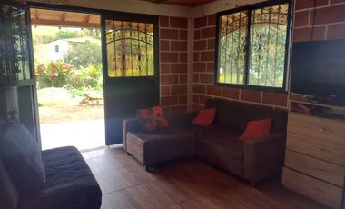 FINCA DE RECREO Y CAMPING ABAJITO DE PORCE- SANTO DOMINGO.