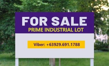 Commercial Lot for sale in Barangay 19, Manila