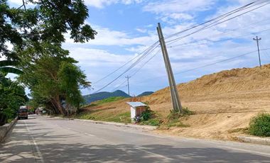 Along the Highway 150 sq.m Residential Lot for Sale in Barili, Cebu