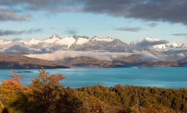 Hermosas Ecoparcelas de 5000 a 10.000m2 en Aysén, cercanas a Puerto Guadal con vista al Lago General Carrera en la Patagonia Chilena