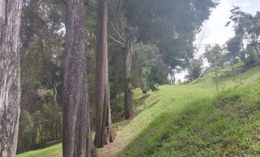 Excelente finca en Guarne