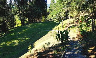 Excelente finca en Guarne