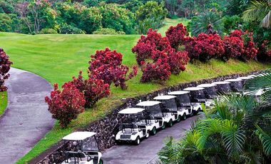 LOT FOR SALE 729 sqm with golf course share at Alta Vista Pardo Cebu City