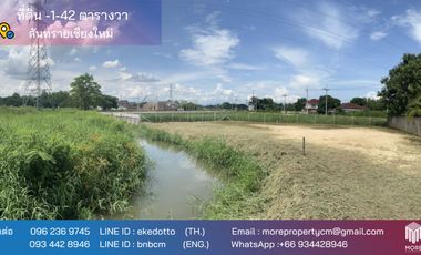 Property ID183 Land for sale in San sai, 0-1- 42 Rai near Central Festival Chiang Mai