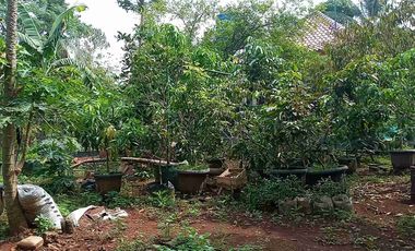 DIJUAL RUMAH SEMI VILLA LUAS TANAH 1001 M2 DIPURWAKARTA