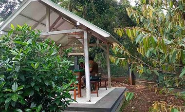 DIJUAL RUMAH SEMI VILLA LUAS TANAH 1001 M2 DIPURWAKARTA