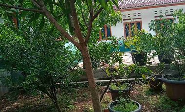 DIJUAL RUMAH SEMI VILLA LUAS TANAH 1001 M2 DIPURWAKARTA