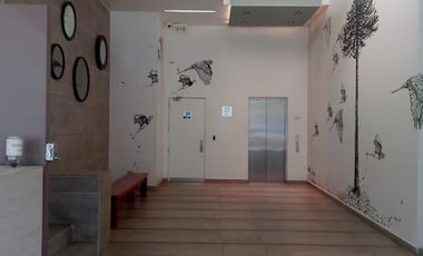 Venta Oficina en Edificio Calle Calle con estacionamiento