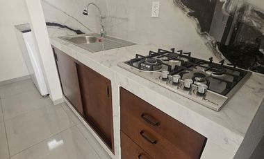 DEPARTAMENTO AMUEBLADO EN RENTA EN SAN MATEO ATENCO