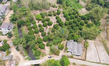 Land by the river in Mae On at Baan On Luai for Sale Lot size 4 rai