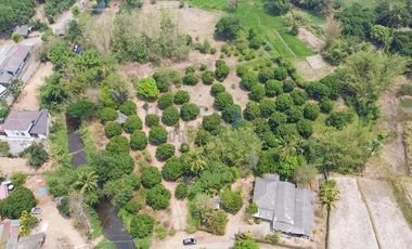 Land by the river in Mae On at Baan On Luai for Sale Lot size 4 rai