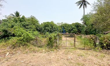 Land by the river in Mae On at Baan On Luai for Sale Lot size 4 rai