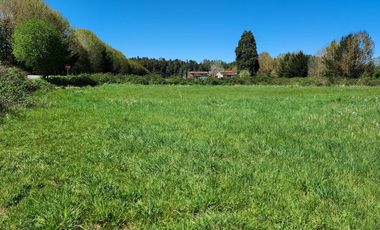 Linda Parcela de 5000m2 a sólo 20km de Valdivia y colindante con río Calle Calle