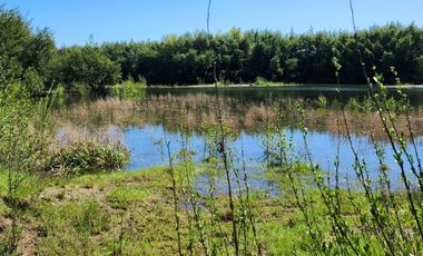Linda Parcela de 5000m2 a sólo 20km de Valdivia y colindante con río Calle Calle