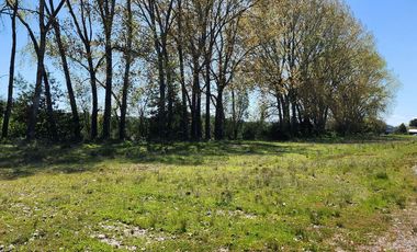 Linda Parcela de 5000m2 a sólo 20km de Valdivia y colindante con río Calle Calle