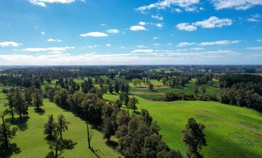 Parcelas en venta en Osorno con agua y electricidad, Proyecto Entre Pellines – Región de los Lagos
