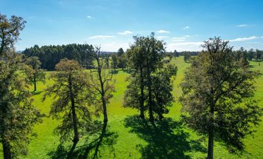 Parcelas en venta en Osorno con agua y electricidad, Proyecto Entre Pellines – Región de los Lagos